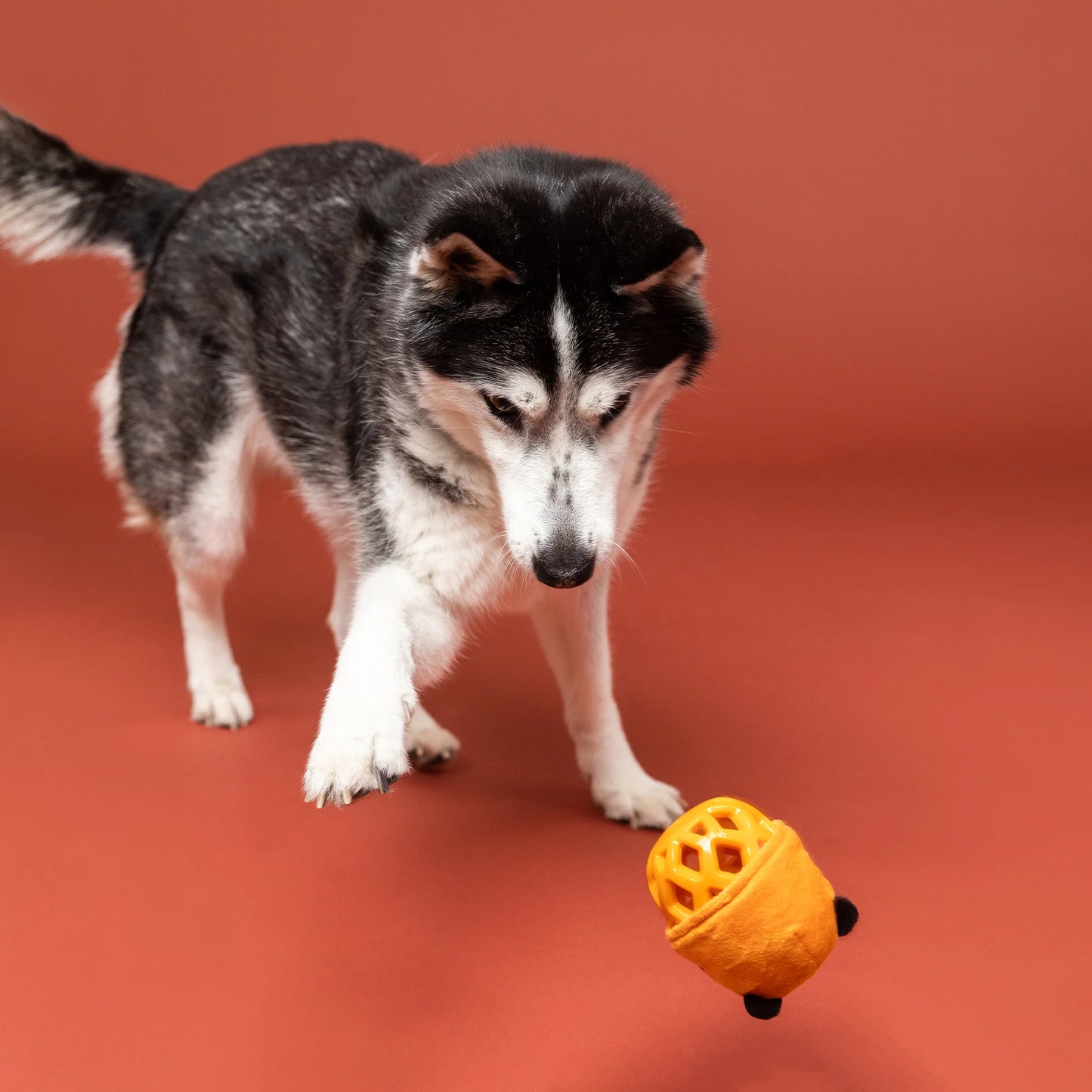 Fringe Tiger tyggelegetøj - Go Get 'Em Tiger!