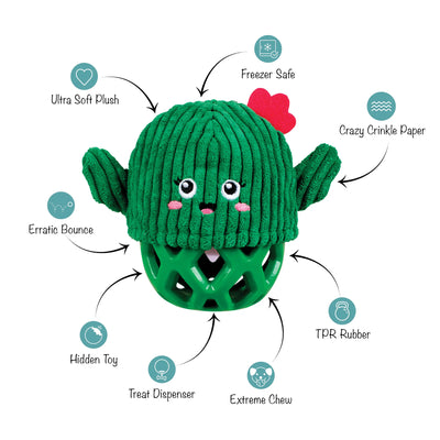 Fringe Kaktus tyggelegetøj - Prickly But Sweet!