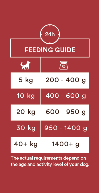 Monster Single Protein Beef - Vådfoder 400g