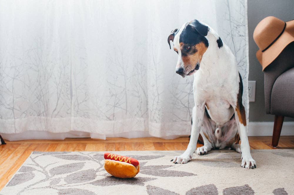P.L.A.Y Hot-dog pivelegetøj