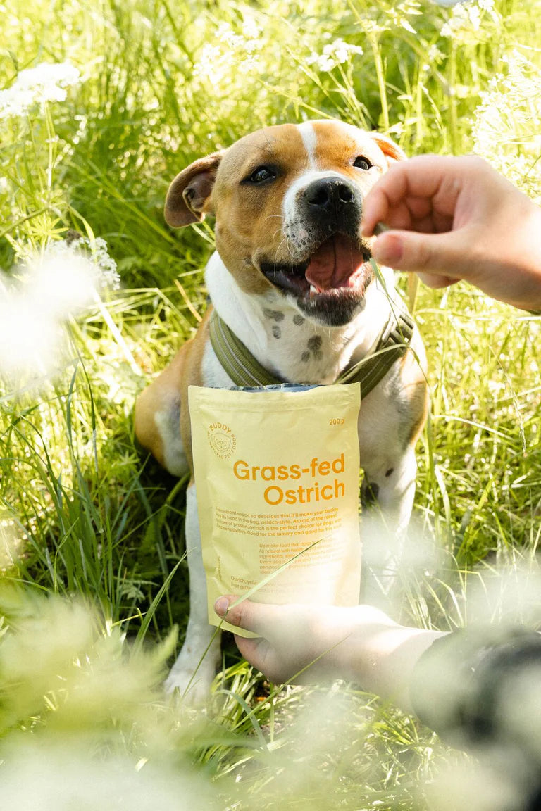 Buddy Semi-moist Snack - Struds med brombær 200 g