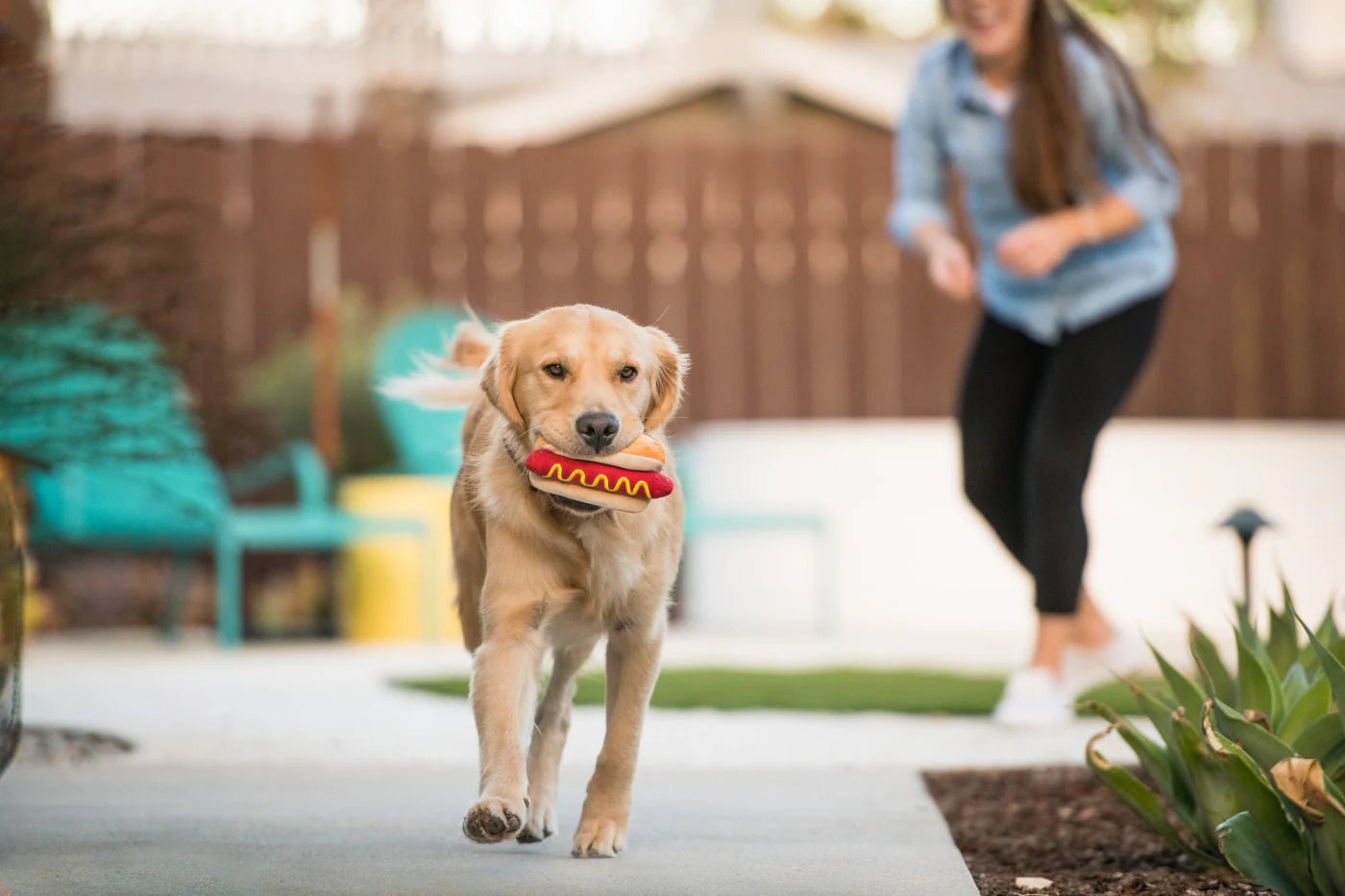 P.L.A.Y Hot-dog pivelegetøj - Dapple