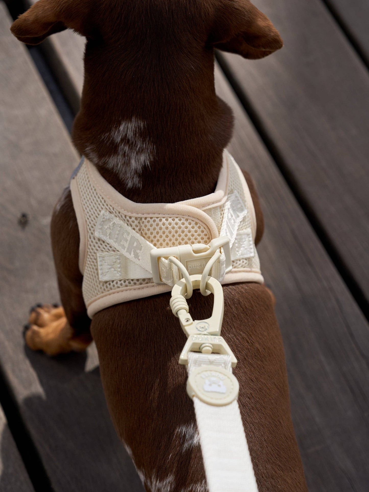 Dukier - Beige hundesele