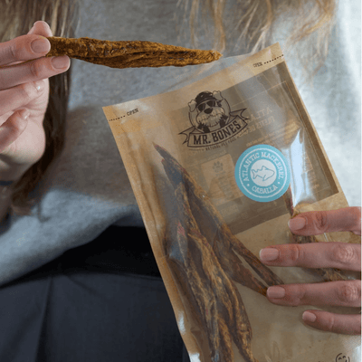 Naturlige Hundesnacks – Hvorfor de er det bedste valg for din hund - Dapple