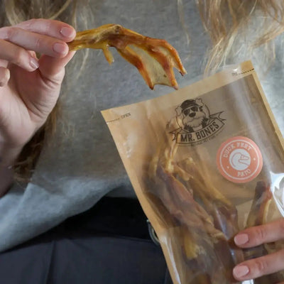 Naturlige Hundesnacks – Hvorfor de er det bedste valg for din hund - Dapple