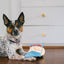 P.L.A.Y Fluffles Chips pivelegetøj