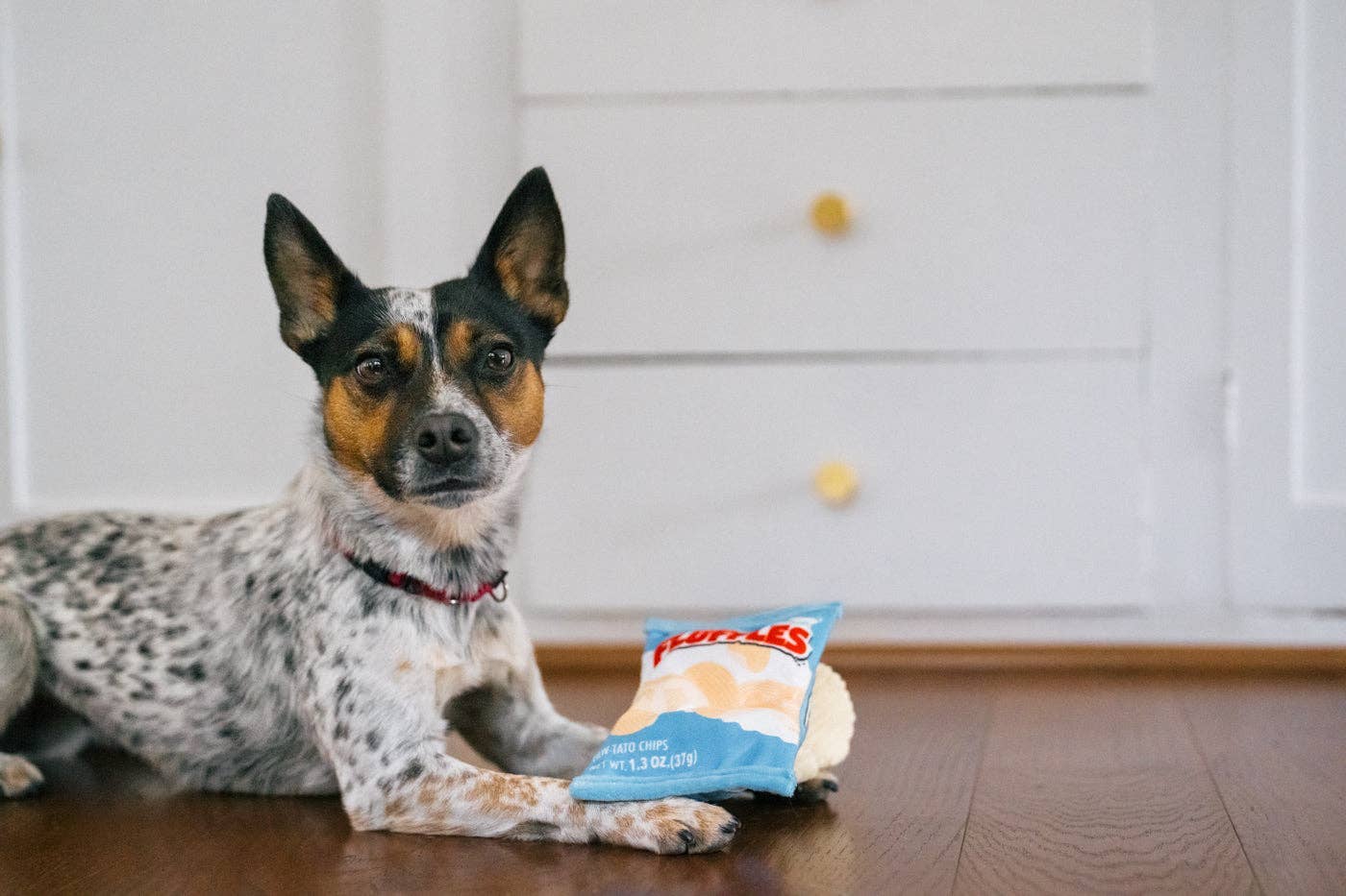P.L.A.Y Fluffles Chips pivelegetøj