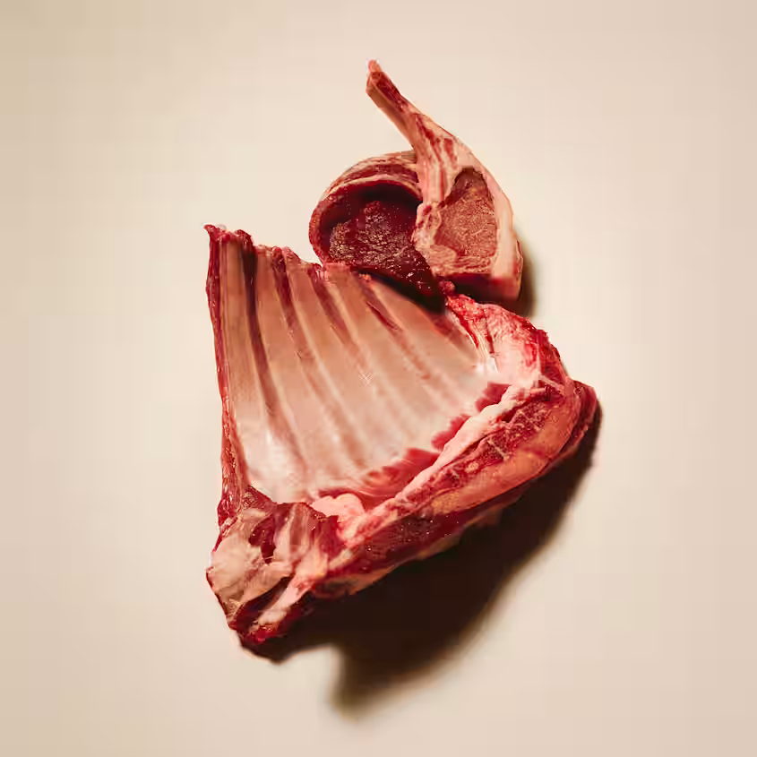 Carnilove Active Lamb & Wild Boar Adult All Breed