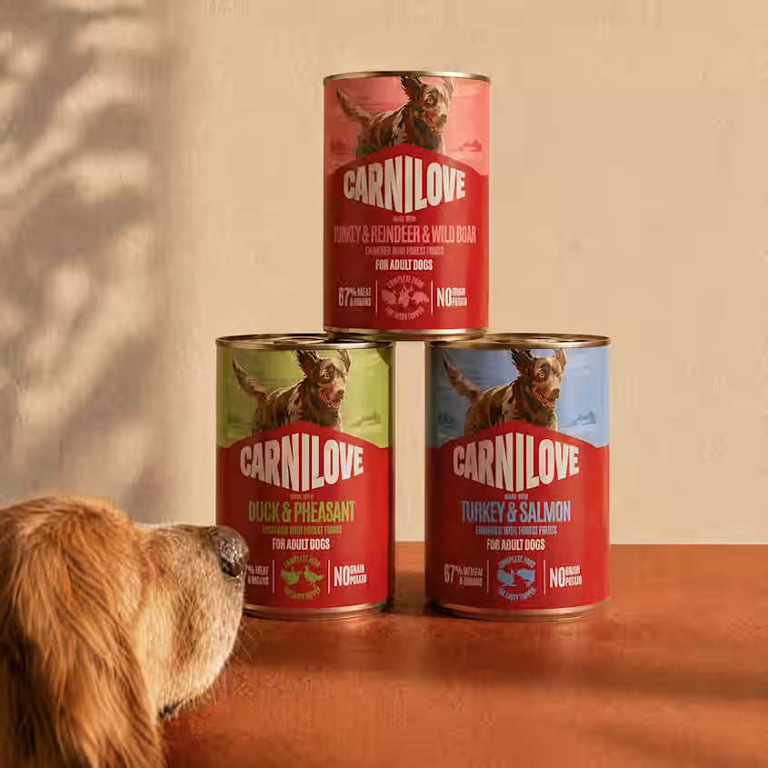 Carnilove Paté Salmon & Turkey Puppy 400g