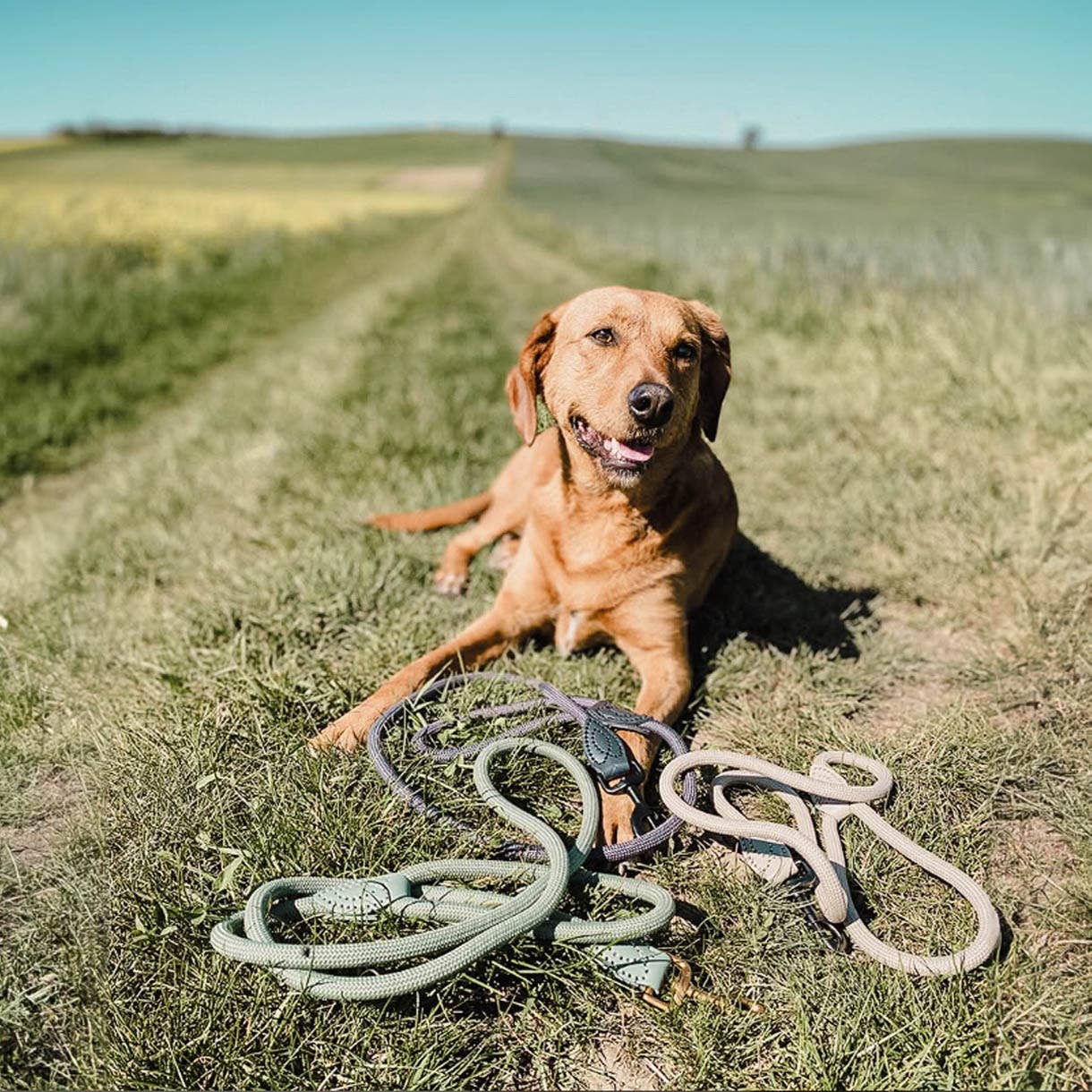 Ne&No® Hundesnor i Reb 170 cm - Fast Hundeline med Læderdetaljer