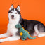 Fringe Halloween Dino pivelegetøj - Candy Rex