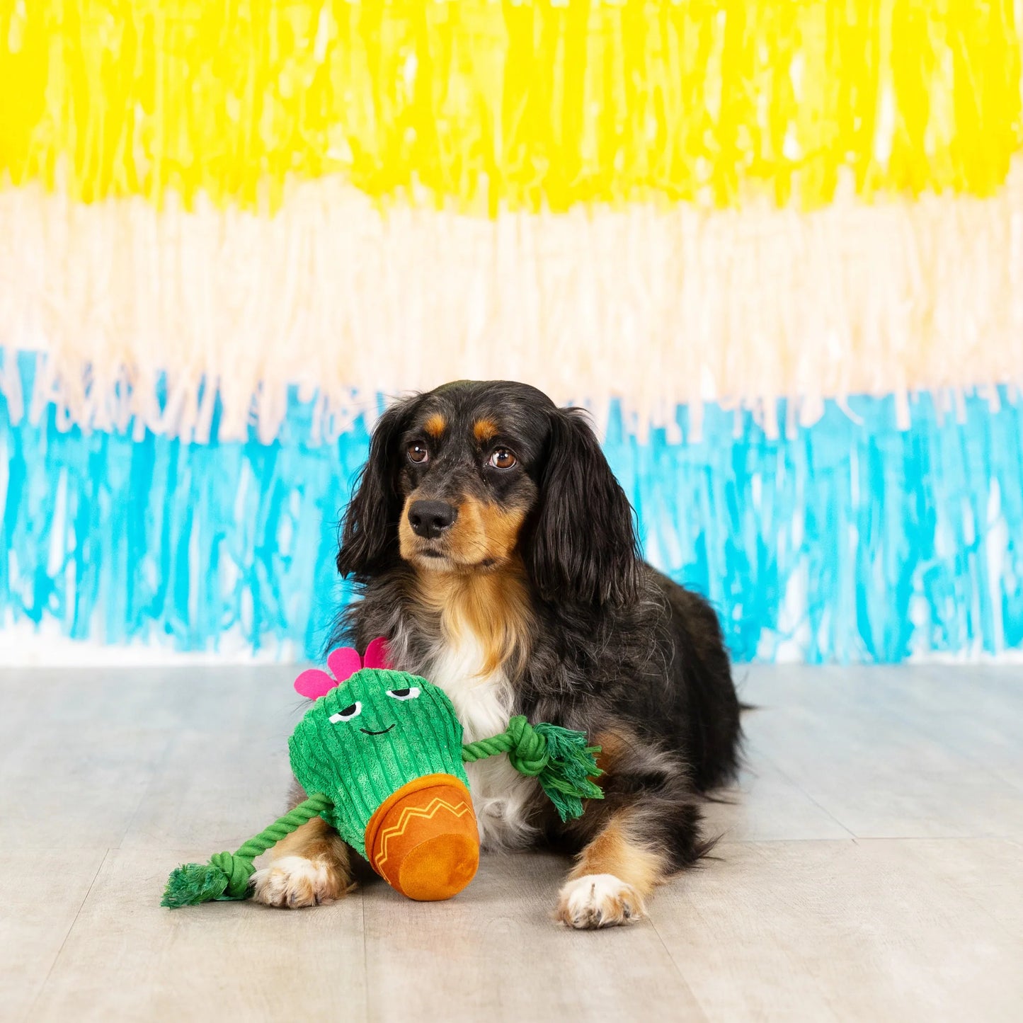 Fringe Kaktus pivelegetøj - You Grow Chica!