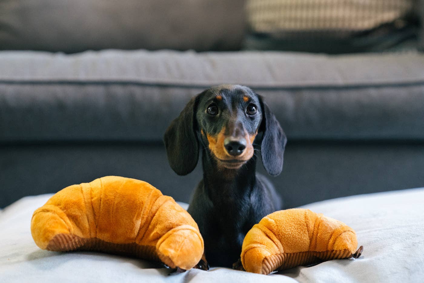 P.L.A.Y Croissant pivelegetøj