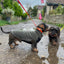 Standard Gravhund Fleece Trøje m. vandtæt mavepanel - Dapple