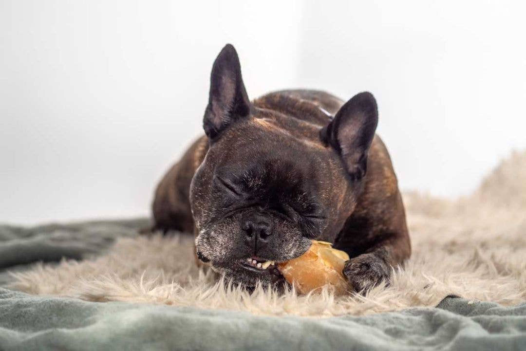 Kivo Kalveklove til Hund - 10 stk 750g