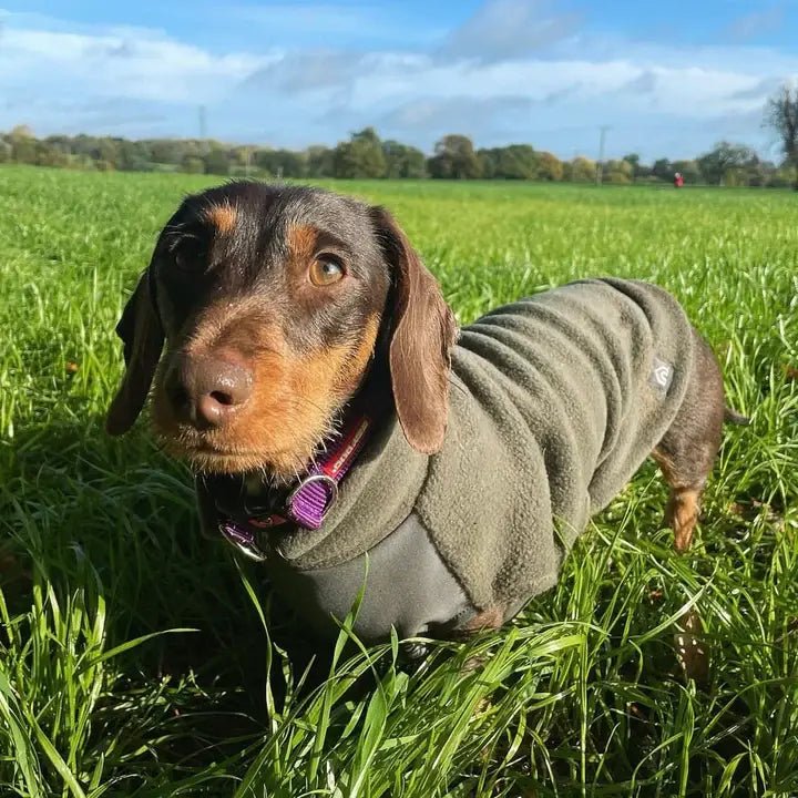 Standard Gravhund Fleece Trøje m. vandtæt mavepanel - Dapple