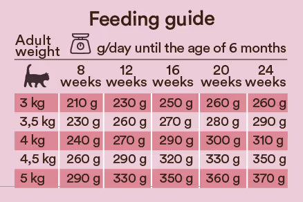 Monster Cat Kitten Vådfoder Single Protein Turkey 100g
