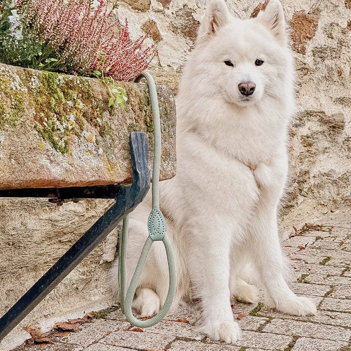 Ne&No® Hundesnor i Reb 170 cm - Fast Hundeline med Læderdetaljer
