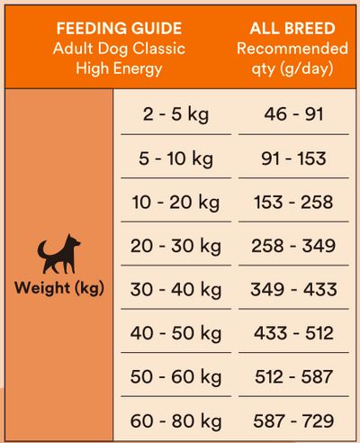 Monster Dog Classic High Energy