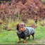 Gravhund Fleece Trøje m. vandtæt mavepanel