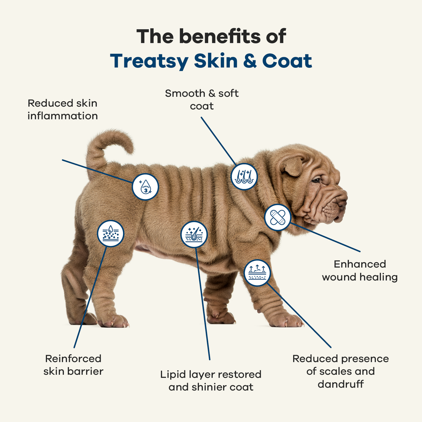Treatsy Skin & Coat - Naturlig omega-olie (250 ml)