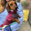 Gravhund Fleece Trøje m. vandtæt mavepanel