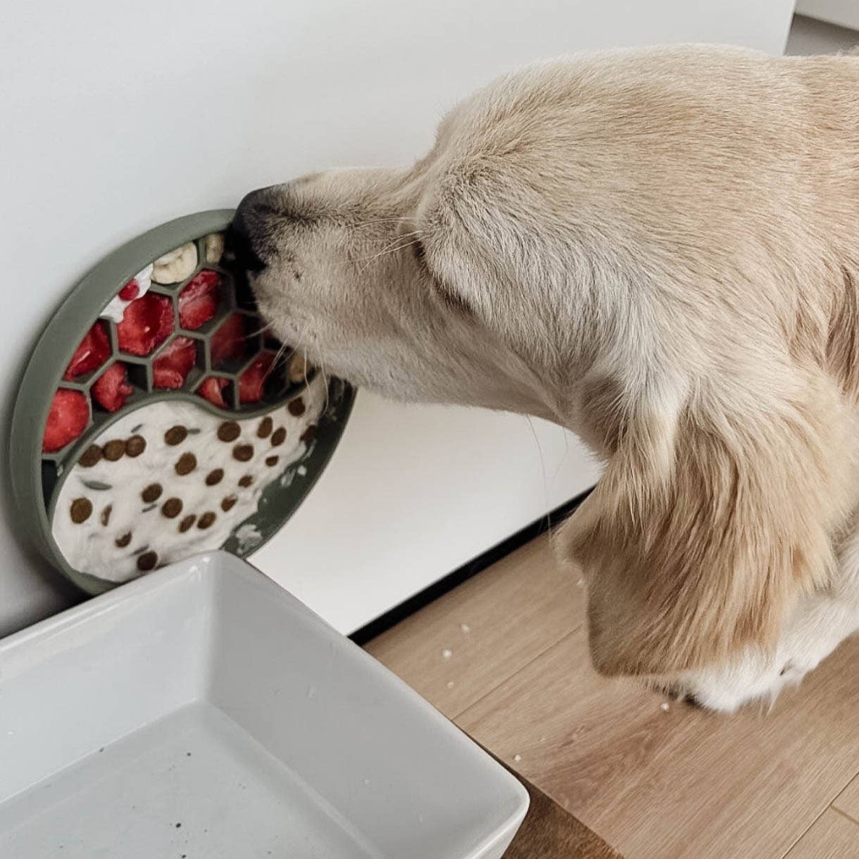Ne&No® Slow Feeder Hundeskål & Slikkemåtte - Anti-Slug Skål til Hunde og Katte