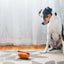 P.L.A.Y Hot-dog pivelegetøj
