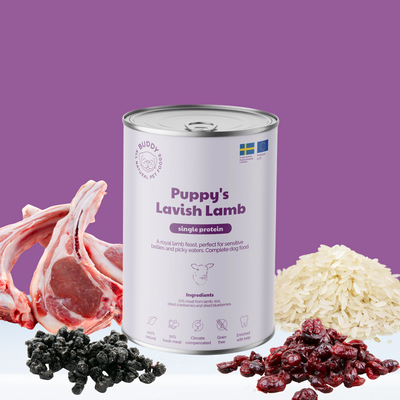 Buddy Vådfoder - Hvalp Lavish Lamb 400g