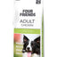FourFriends Adult Chicken
