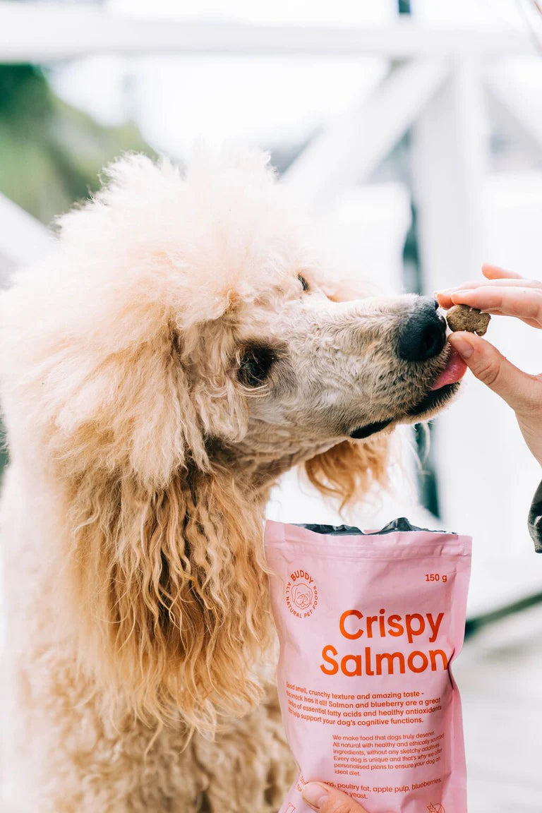 Buddy Crunchy Snack - Laks med blåbær 150 g