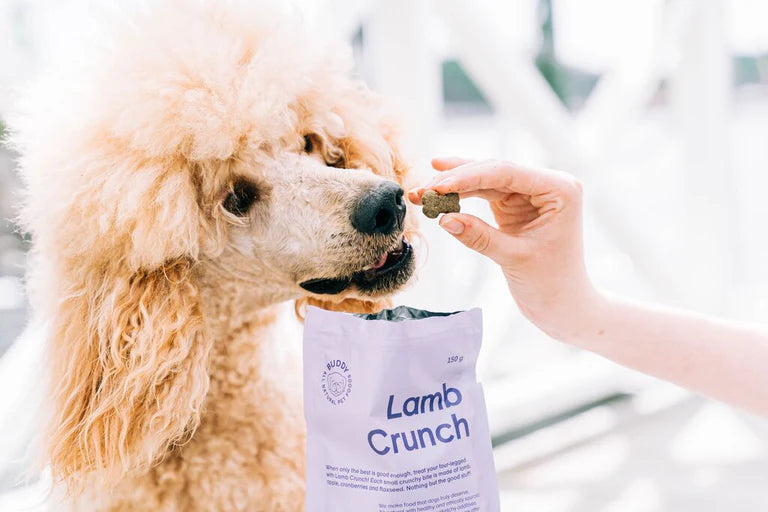 Buddy Crunchy Snack - Lam med tranebær 150 g