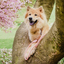 Ne&No® Hundesnor i Reb 170 cm - Fast Hundeline med Læderdetaljer