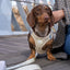 Dukier - Beige hundesele