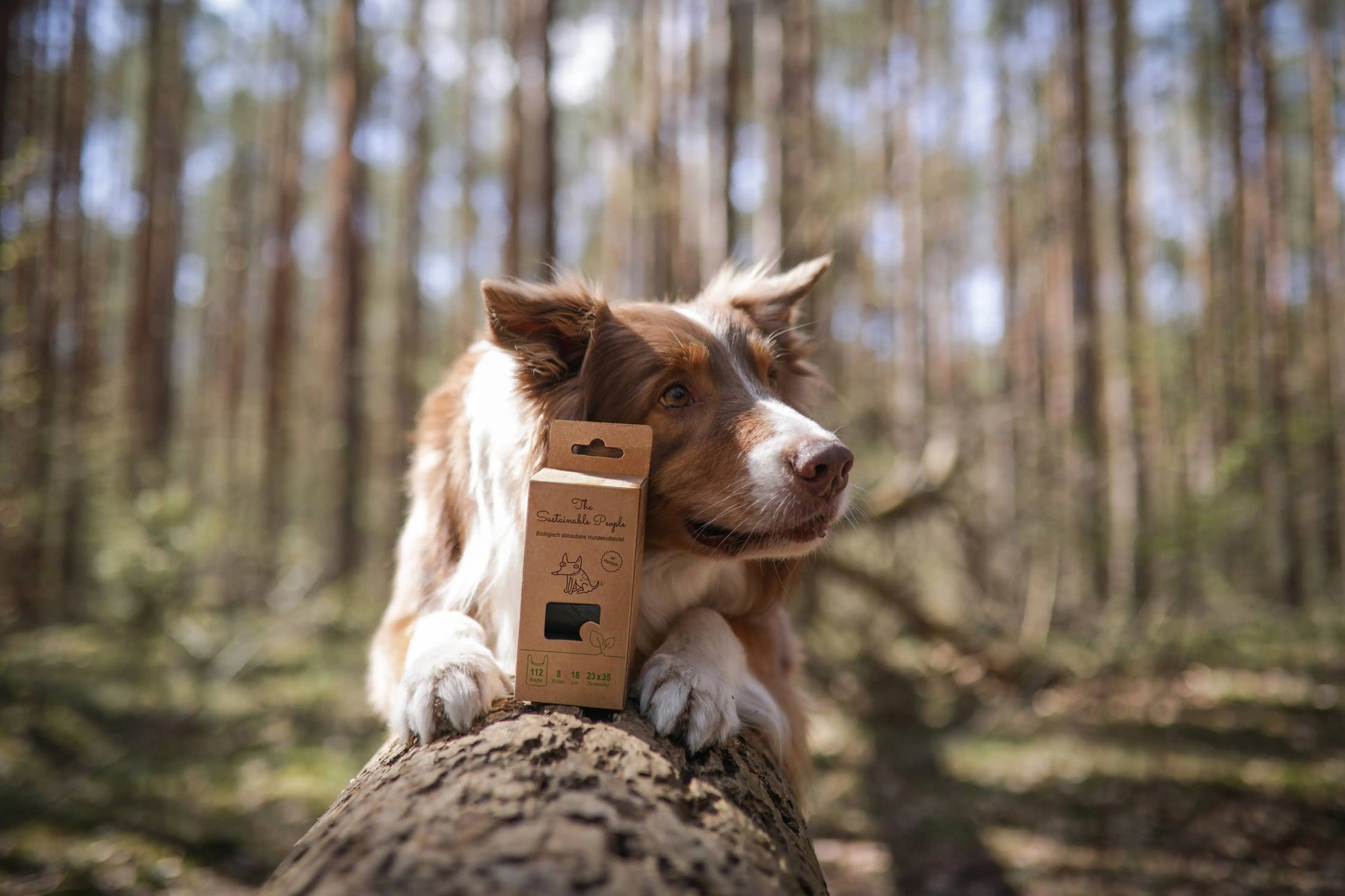 Bionedbrydelige hundeposer med hank (112 poser/boks) - Dapple