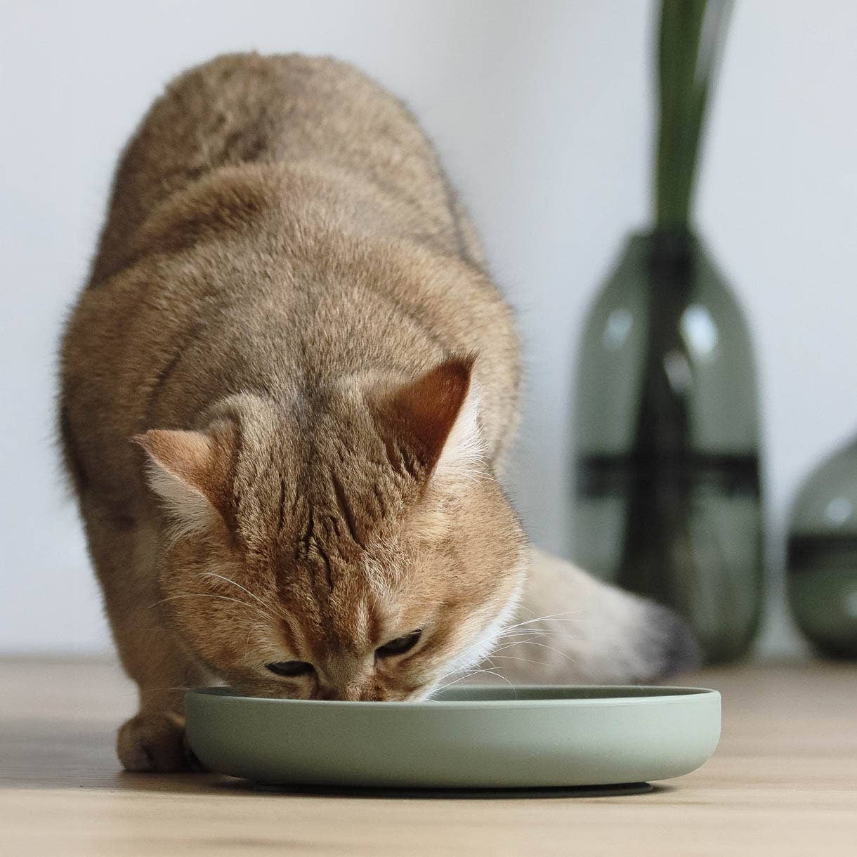 Ne&No® Slow Feeder Hundeskål & Slikkemåtte - Anti-Slug Skål til Hunde og Katte