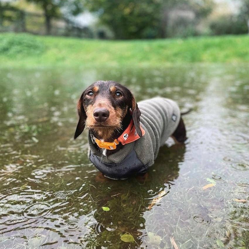 Gravhund Fleece Trøje m. vandtæt mavepanel