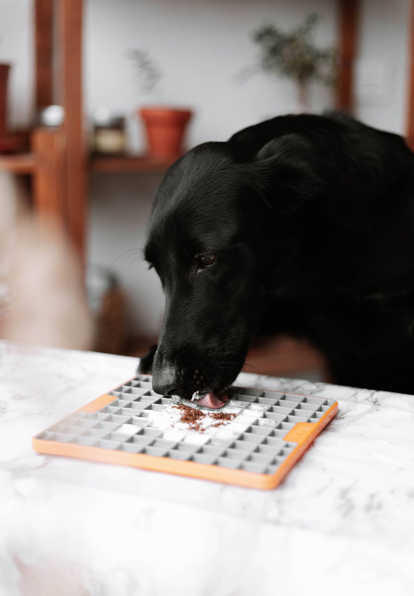 Kylling Topper til Hund & Kat - 100g