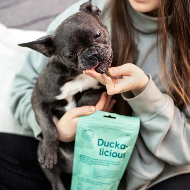 Buddy Semi-moist Snack - And med rosmarin 200 g