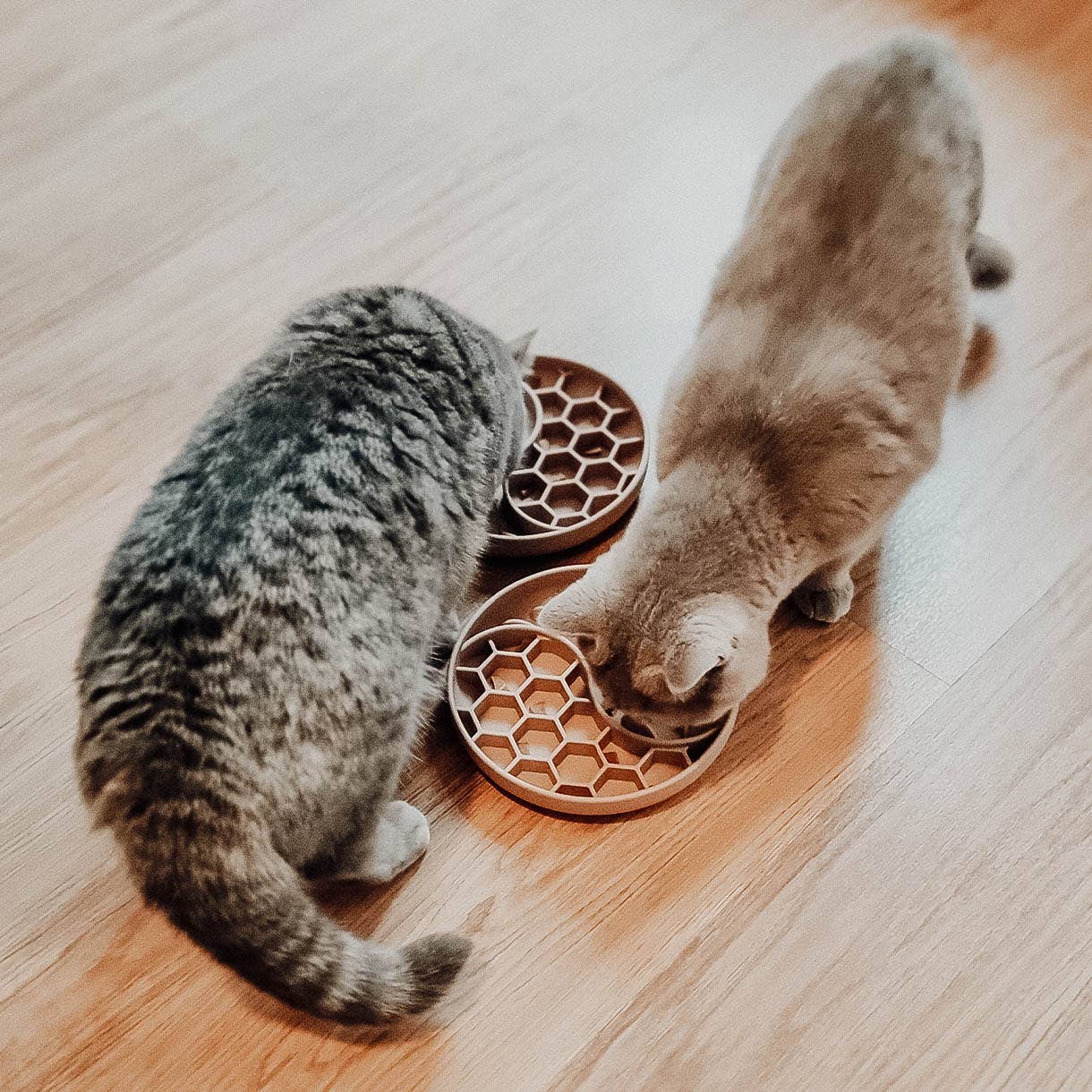 Ne&No® Slow Feeder Hundeskål & Slikkemåtte - Anti-Slug Skål til Hunde og Katte