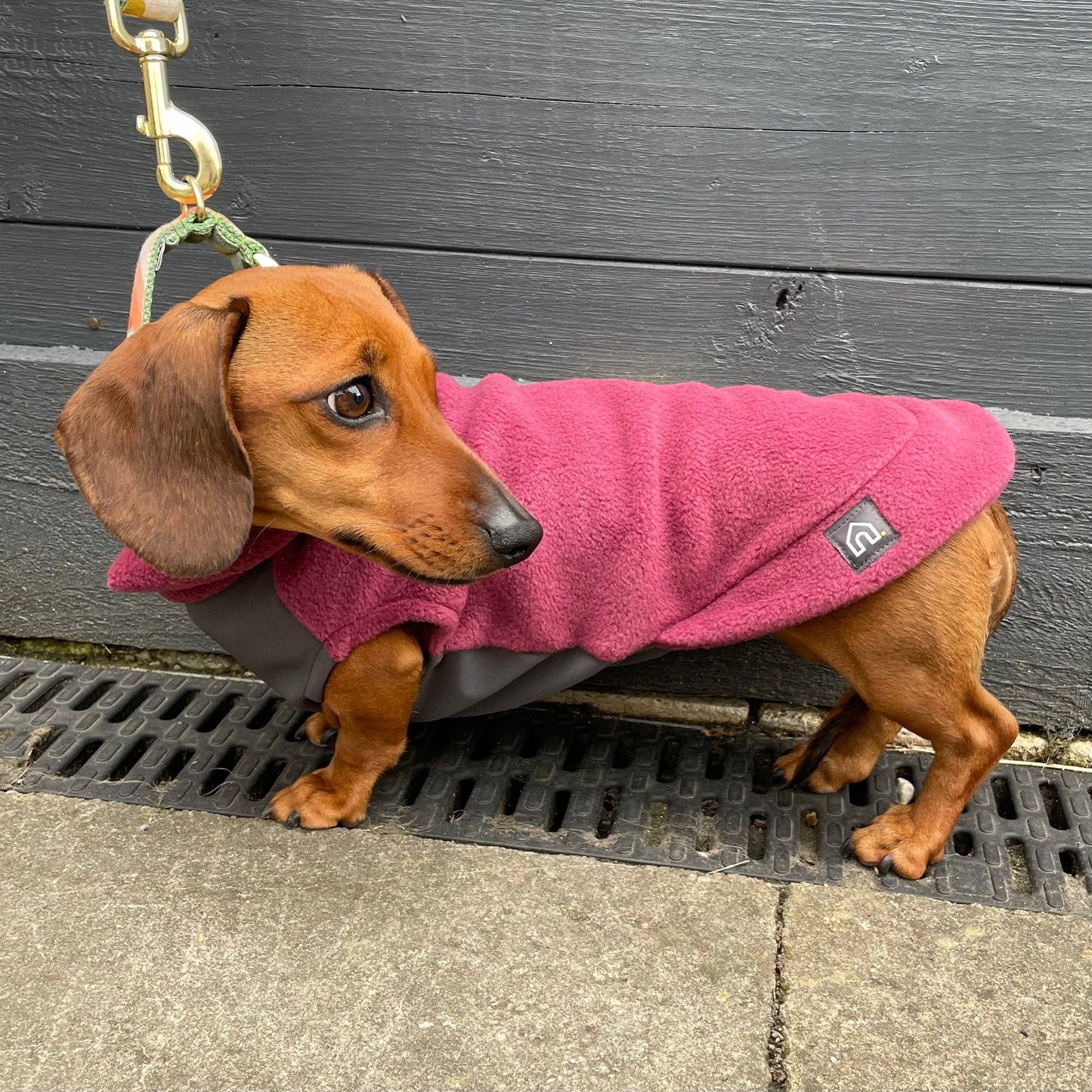 Gravhund Fleece Trøje m. vandtæt mavepanel