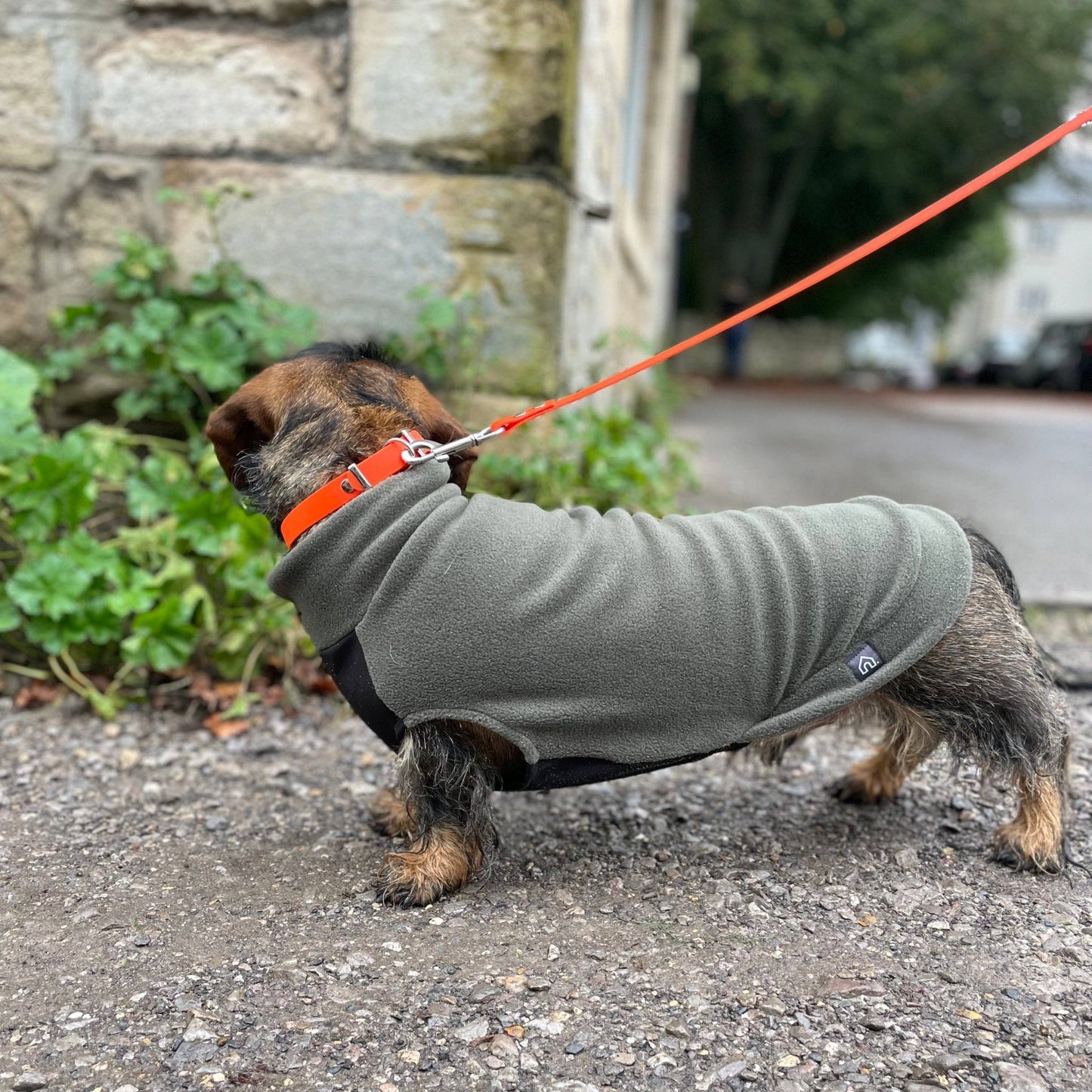 Standard Gravhund Fleece Trøje m. vandtæt mavepanel - Dapple