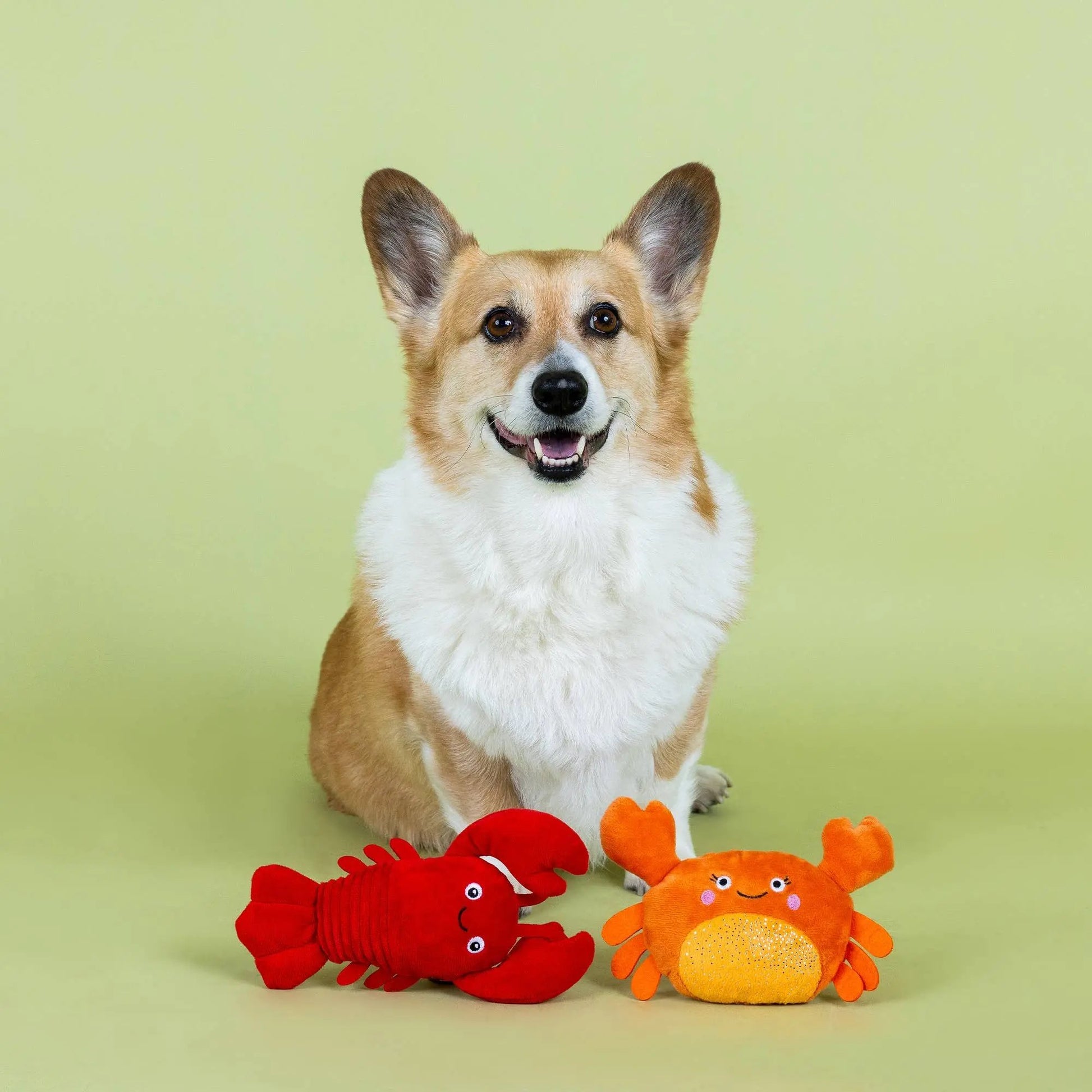 Fringe 2 - i - 1 pakke krabbe og hummer pivelegetøj - You're Pretty Snappy - Dapple