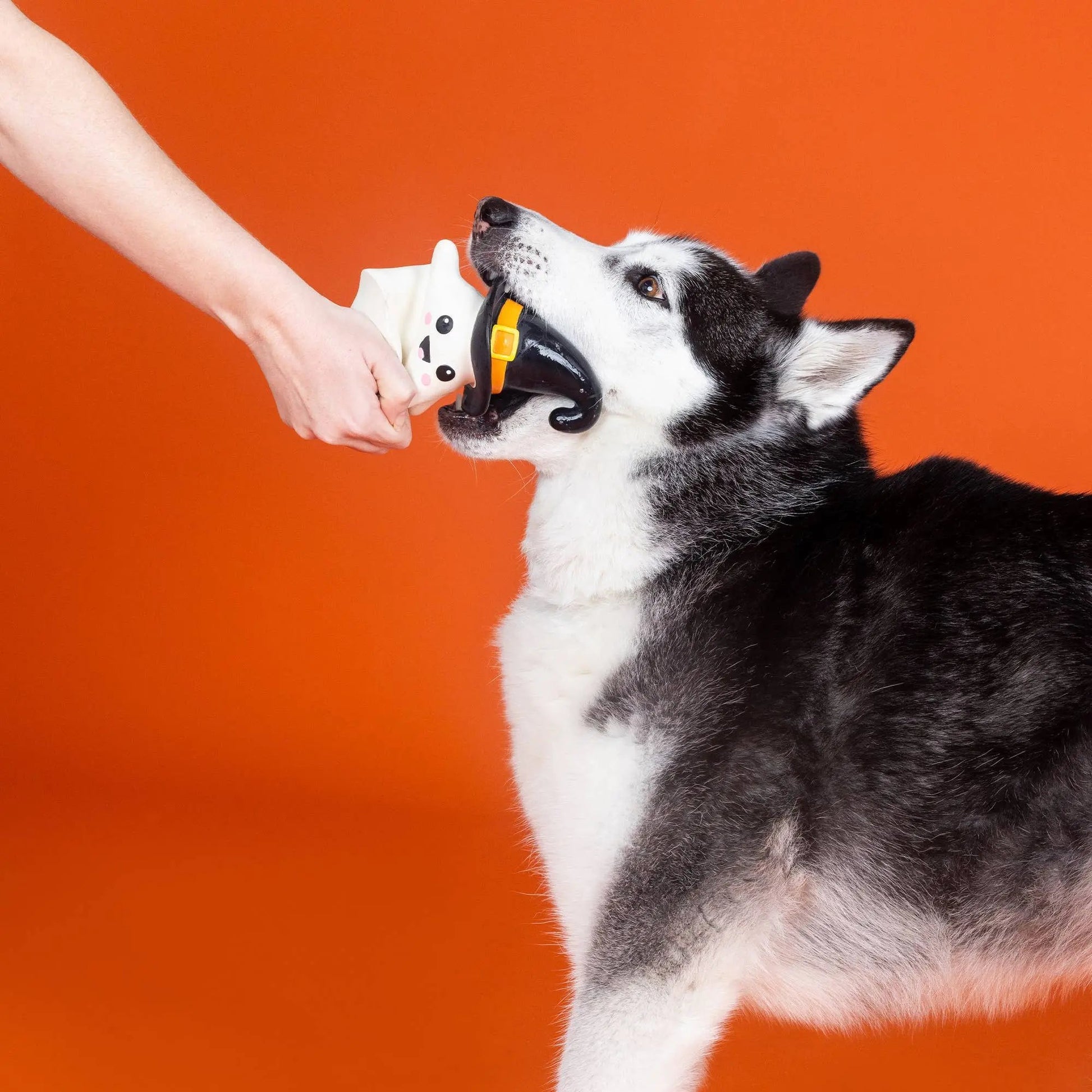 Fringe Halloween spøgelses pivelegetøj - One Wicked Ghost - Dapple