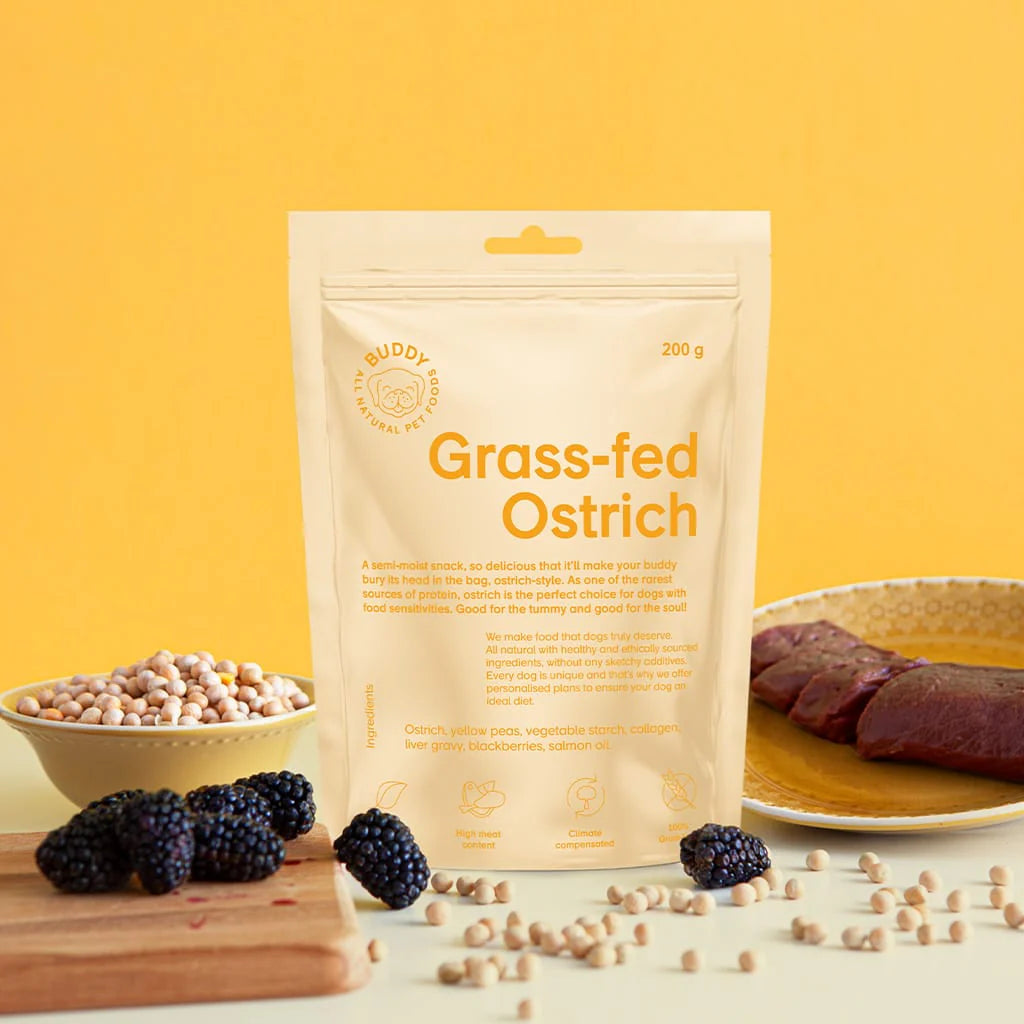 Buddy Semi-moist Snack - Struds med brombær 200 g