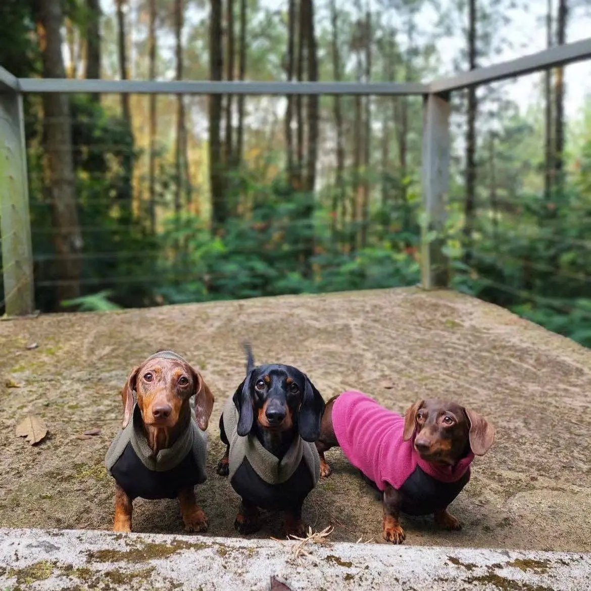 Gravhund Fleece Trøje m. vandtæt mavepanel - Dapple