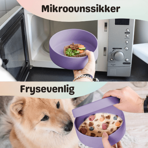 Ne&no® Silikone Foderskål med Låg - Dapple