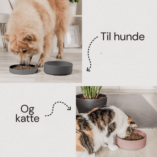 Ne&no® Silikone Foderskål med Låg - Dapple