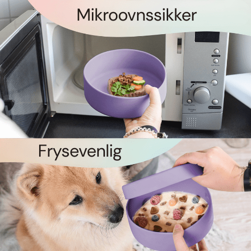 Ne&no® Silikone Foderskål med Låg - Dapple