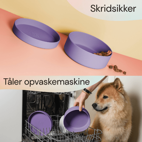 Ne&no® Silikone Foderskål med Låg - Dapple
